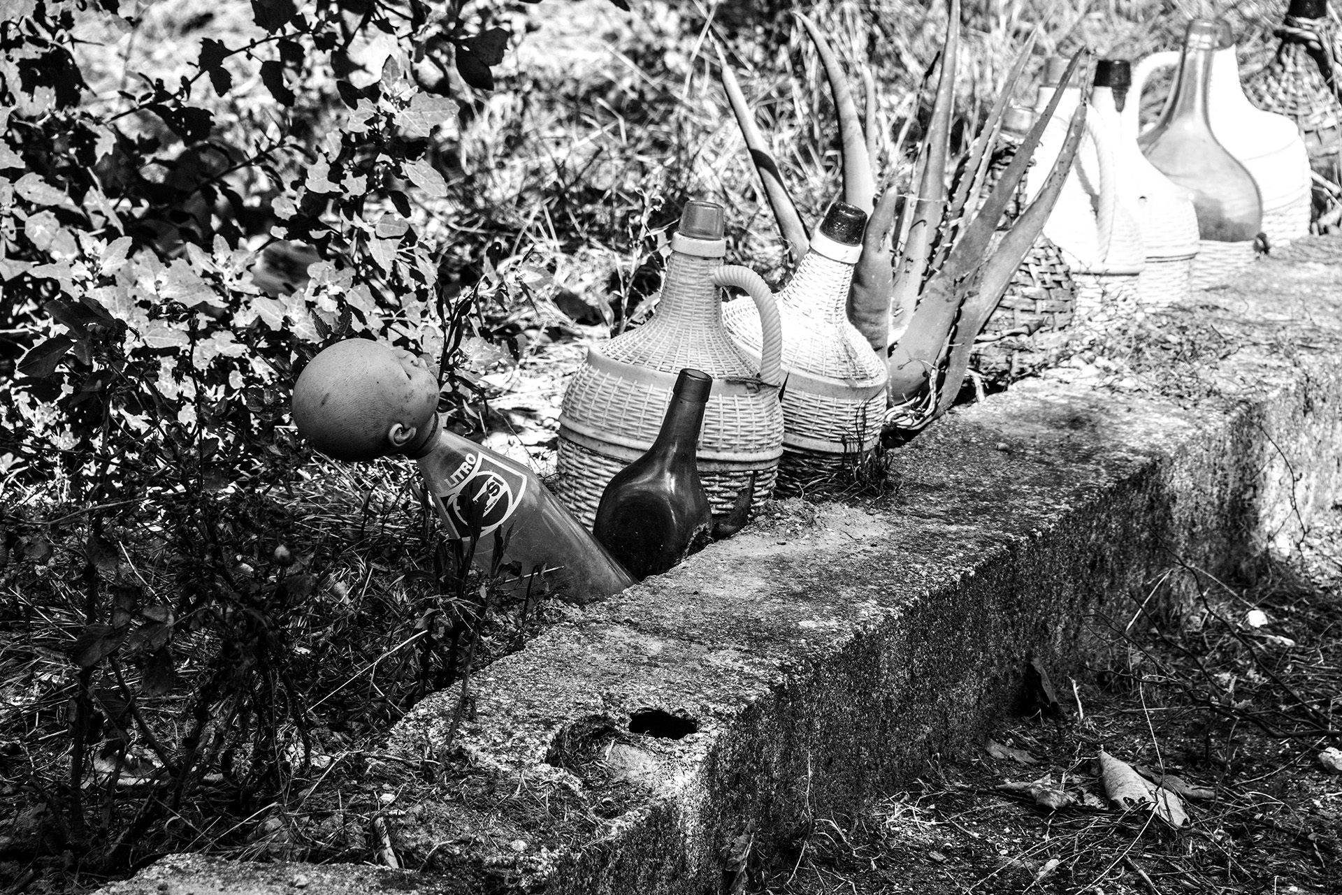 Fernandinho, Birnenernte im Gewann Freiria