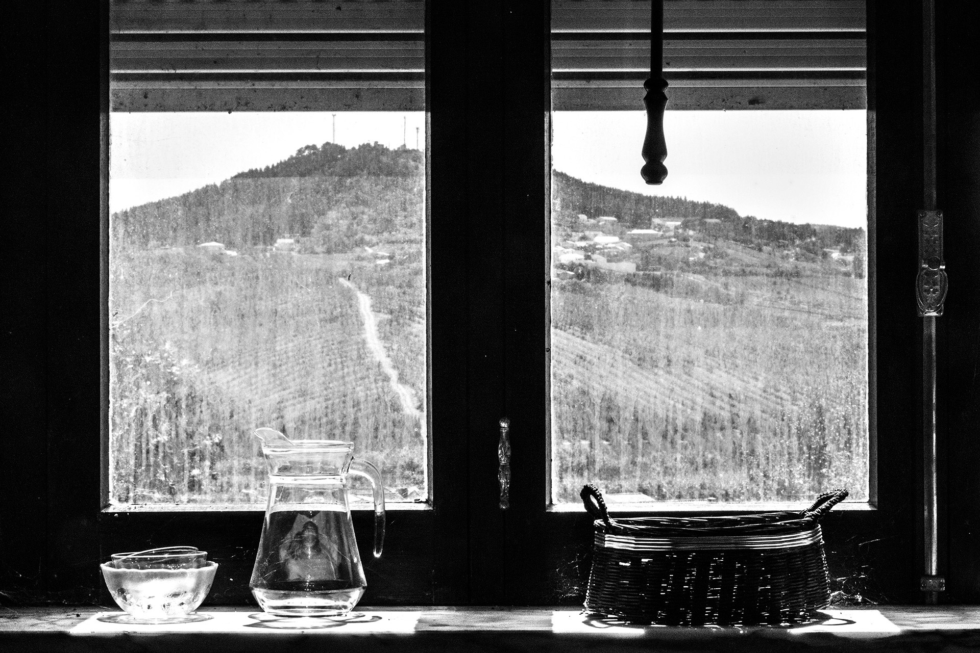 Fernandinho, Birnenernte im Gewann Freiria