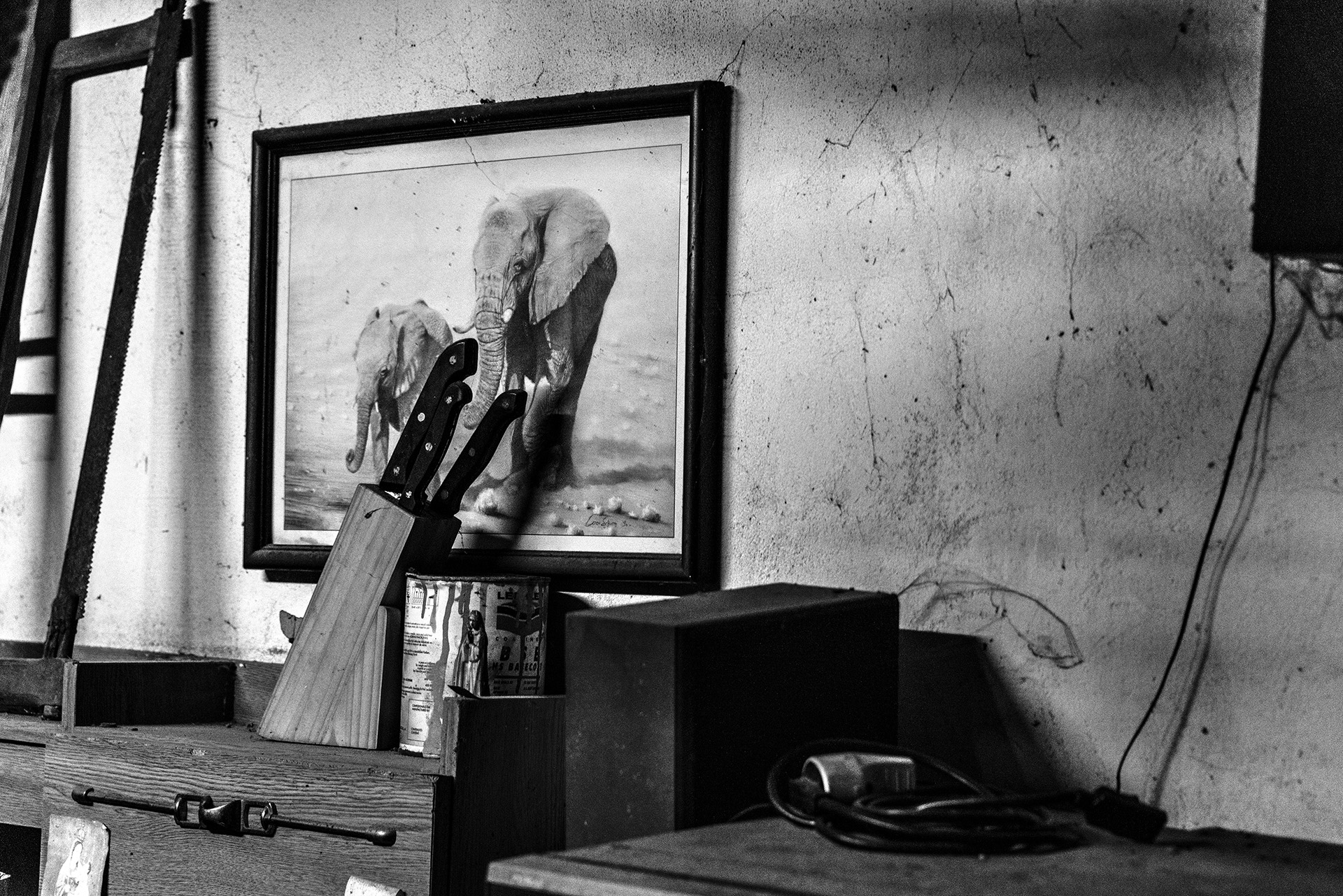 Fernandinho, Birnenernte im Gewann Freiria