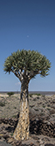 Hardap, 2017