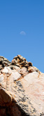 Kagga Kamma, 2014
