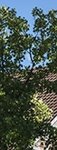 Sentheim, 2016