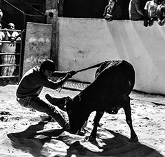 Turcifal, Largada Nocturna, Rua das Maias