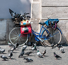 Piazza Navona